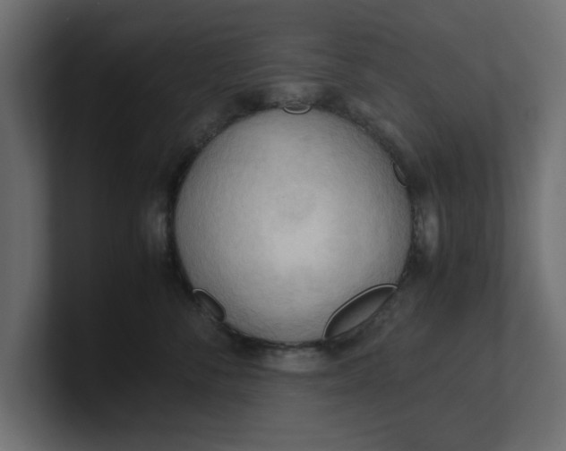 X0000100480716200806271202