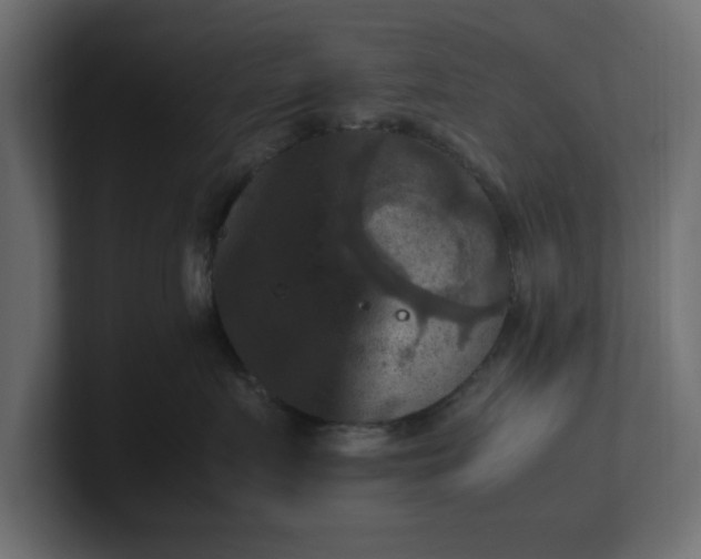 X0000100480719200806271202