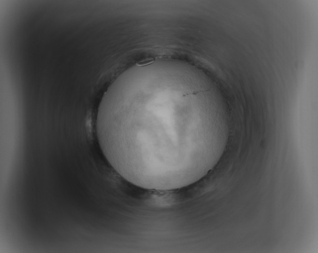 X0000100480720200806271202