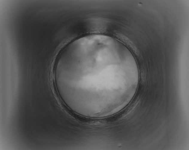 X0000100480721200806271202