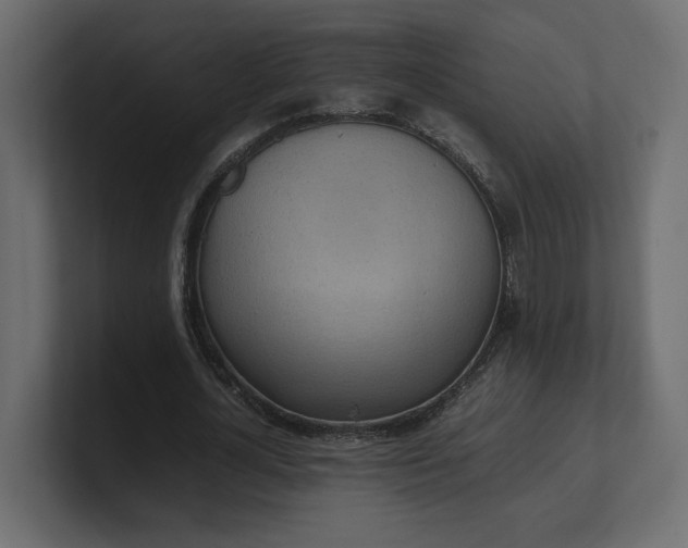 X0000100480724200806271202