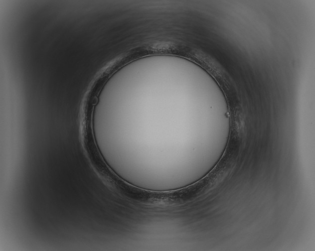 X0000100480728200806271202