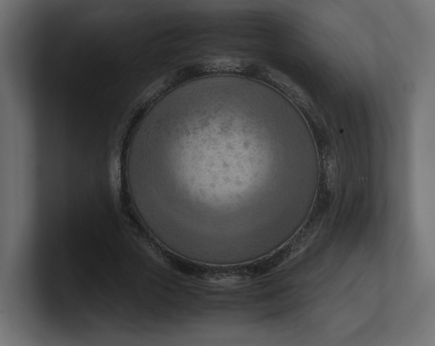 X0000100480729200806271202