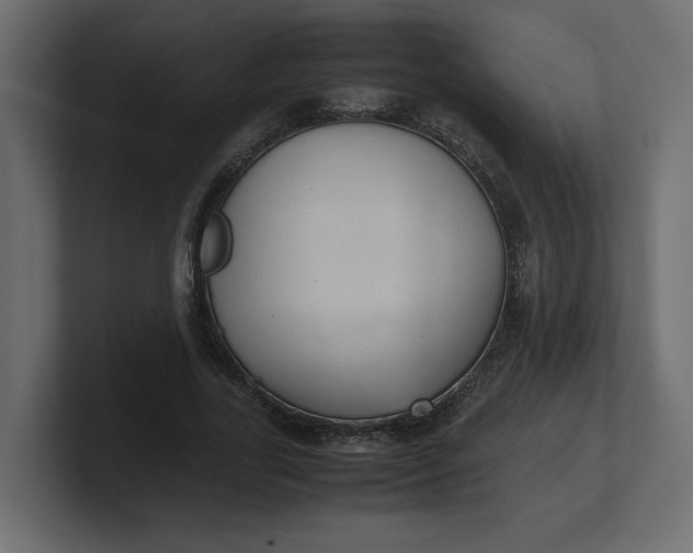X0000100480731200806271202