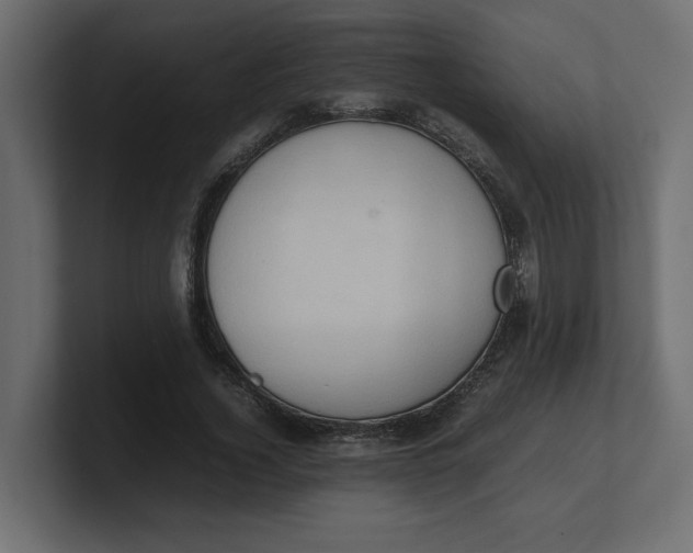 X0000100480732200806271202