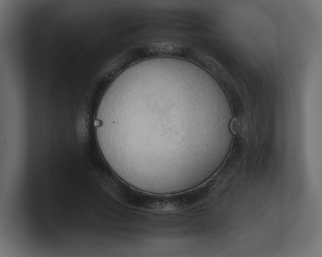 X0000100480735200806271202