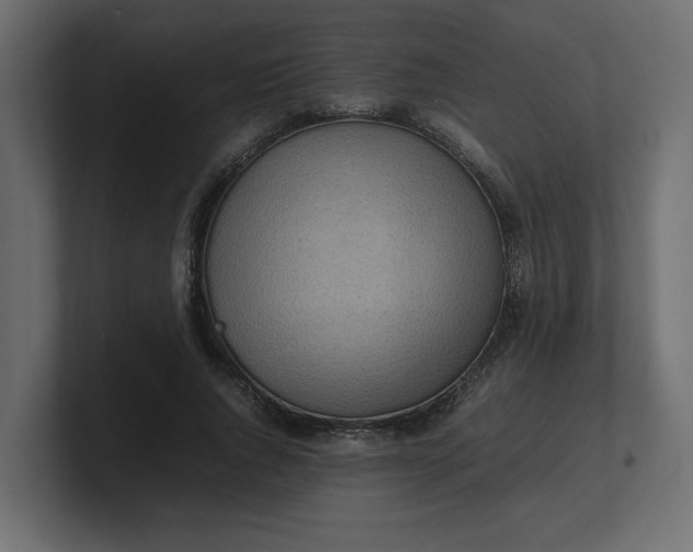 X0000100480736200806271202