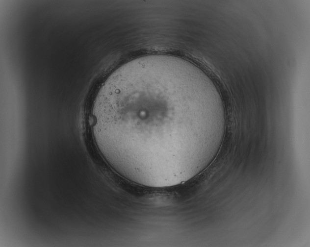 X0000100480738200806271202
