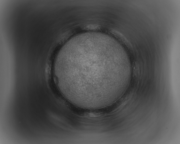 X0000100480739200806271202