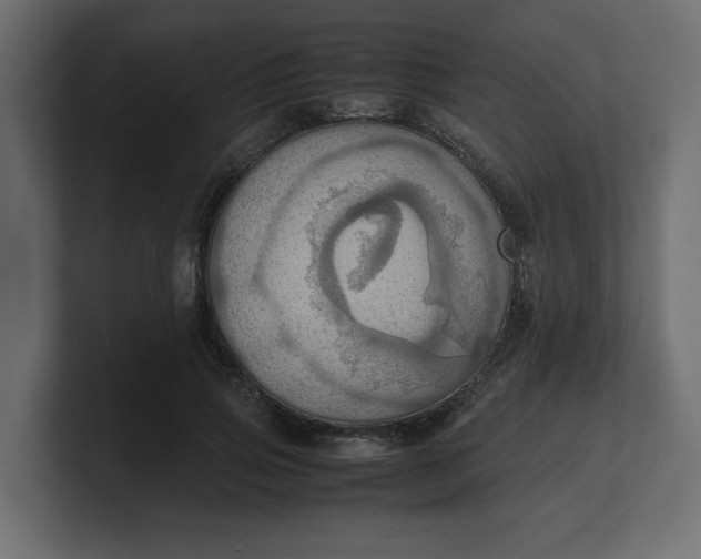 X0000100480741200806271202