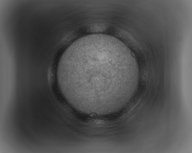 X0000100480743200806271202