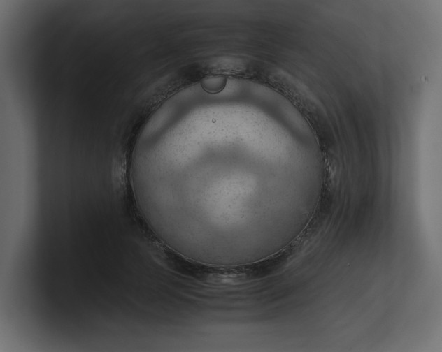 X0000100480745200806271202