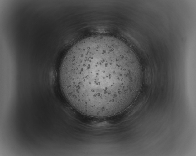 X0000100480747200806271202
