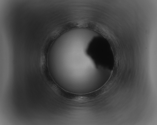 X0000100480748200806271202