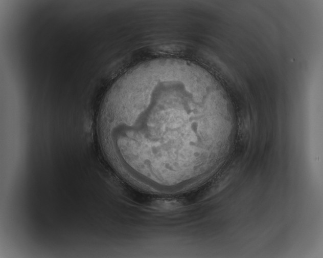 X0000100480749200806271202