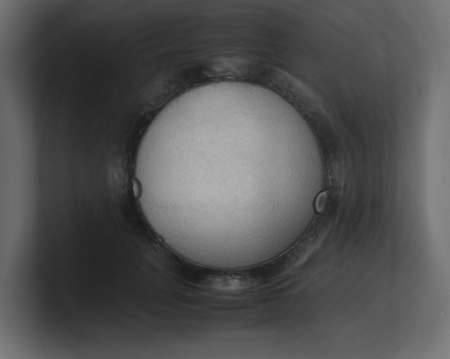 X0000100480751200806271202
