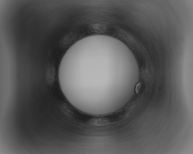 X0000100480752200806271202