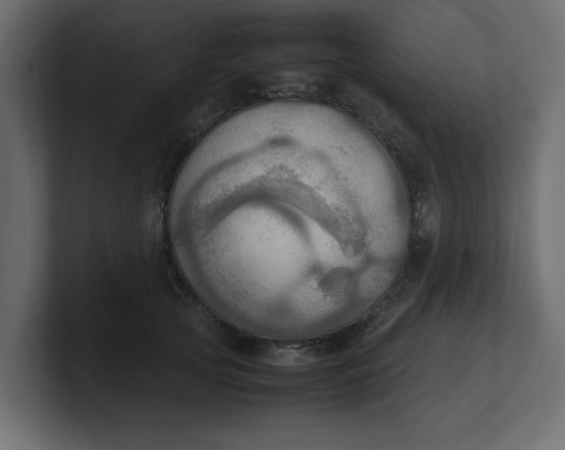 X0000100480753200806271202