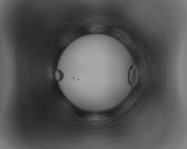 X0000100480755200806271202