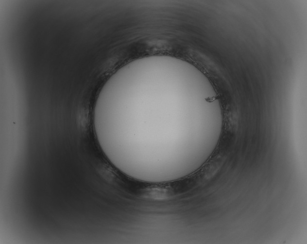 X0000100480756200806271202