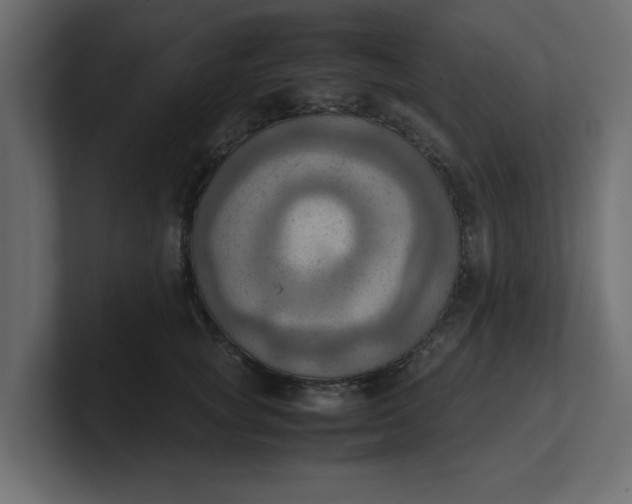 X0000100480757200806271202