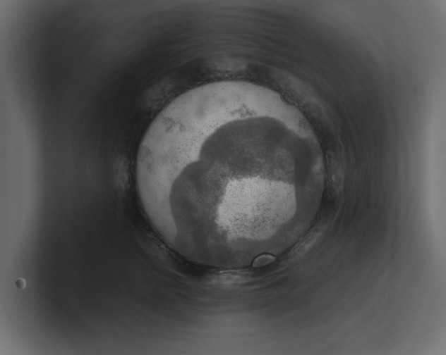 X0000100480758200806271202