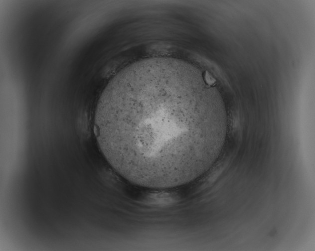 X0000100480759200806271202