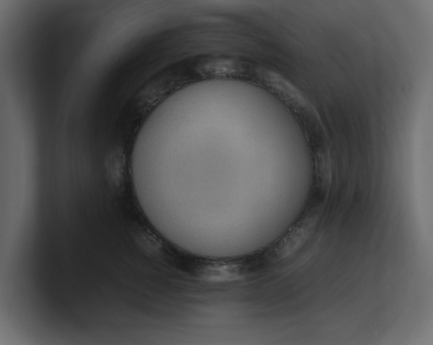X0000100480760200806271202