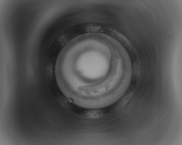 X0000100480761200806271202