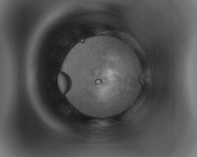 X0000100480763200806271202