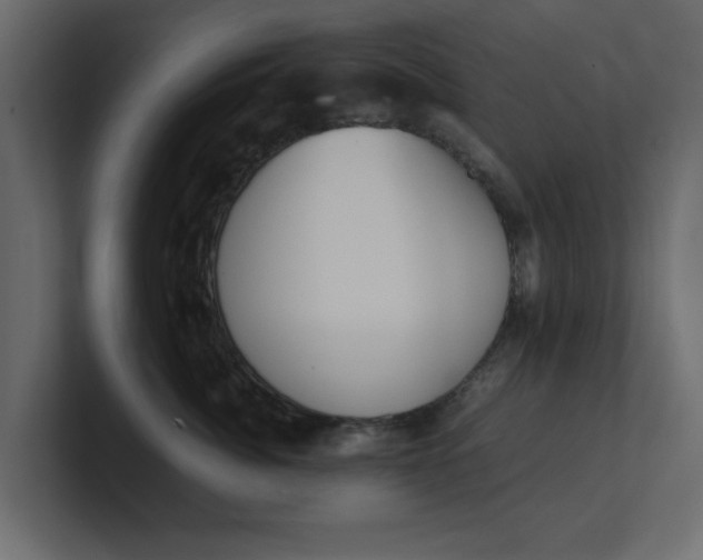 X0000100480764200806271202