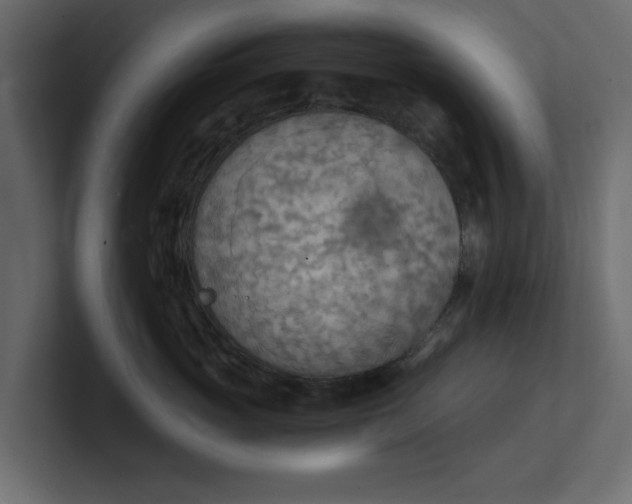 X0000100480765200806271202