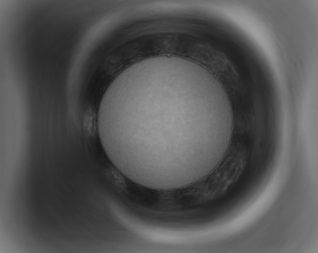 X0000100480766200806271202