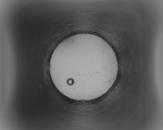 X0000100480769200806271201