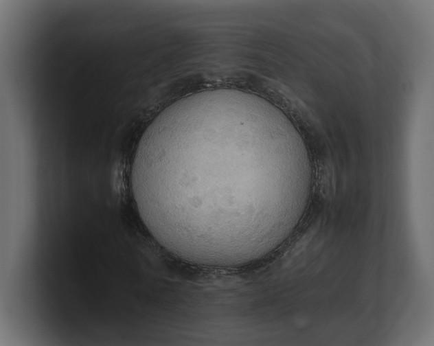 X0000100480770200806271201