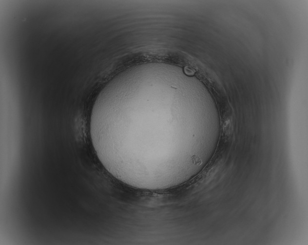 X0000100480772200806271201