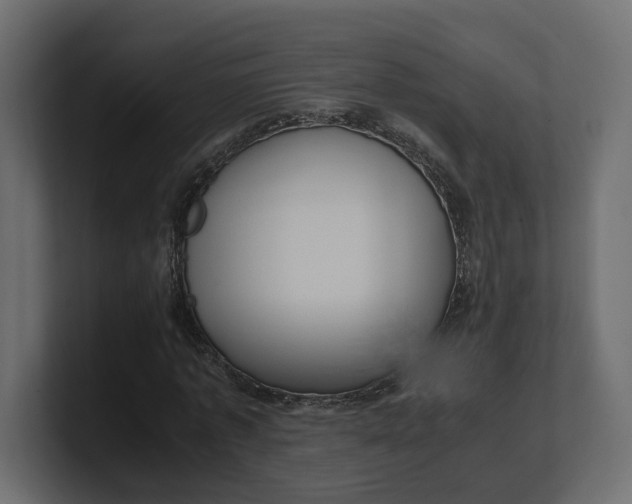 X0000100480773200806271201
