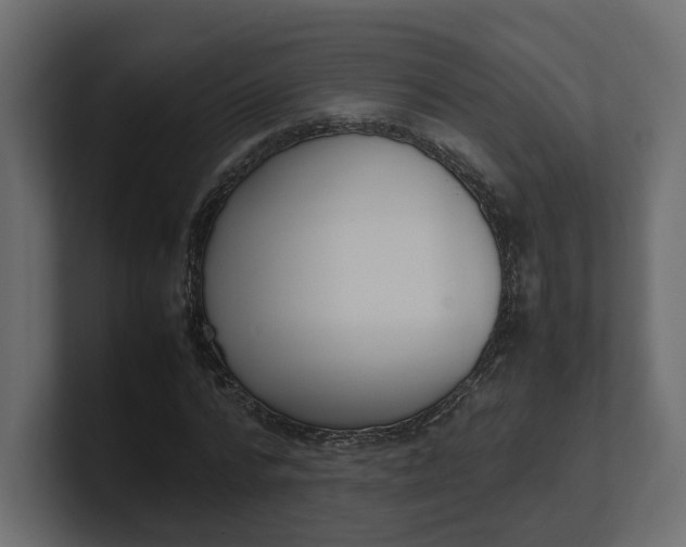 X0000100480776200806271201