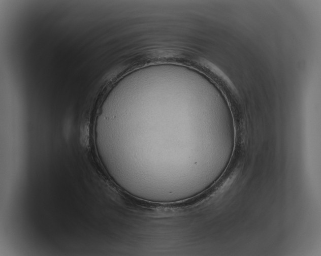 X0000100480777200806271201