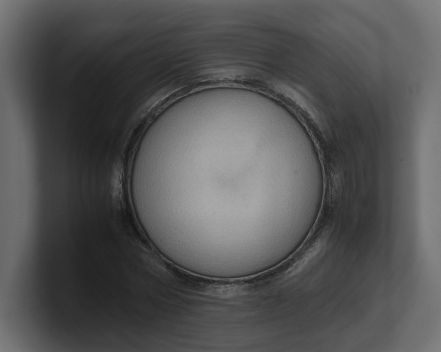 X0000100480778200806271201
