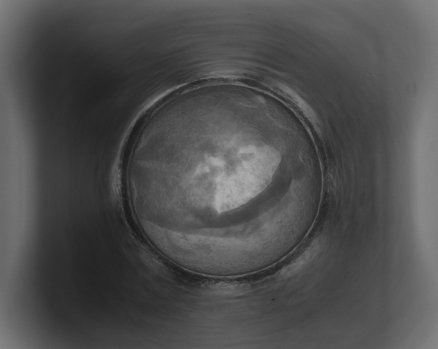 X0000100480779200806271201