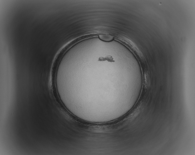 X0000100480780200806271201