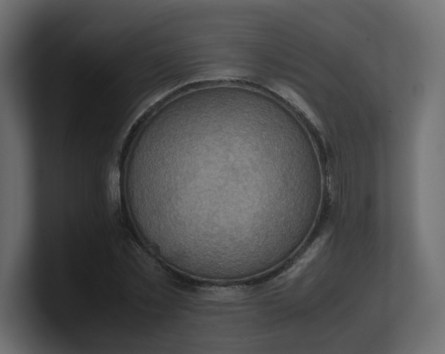 X0000100480781200806271201