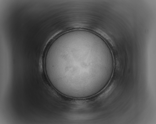 X0000100480782200806271201