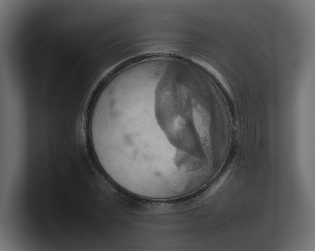 X0000100480783200806271201