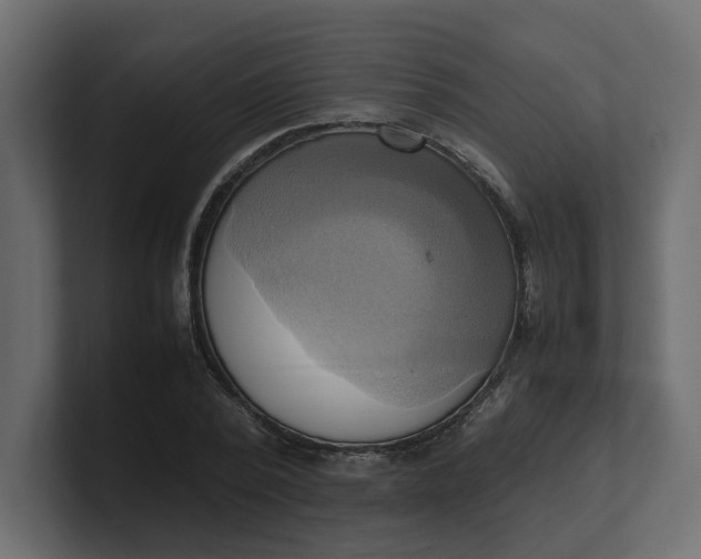 X0000100480784200806271201