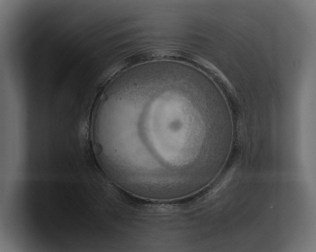 X0000100480785200806271201