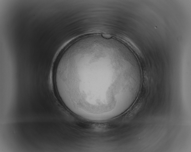 X0000100480788200806271201