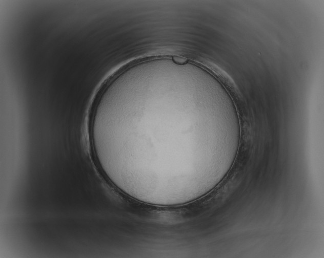 X0000100480792200806271201