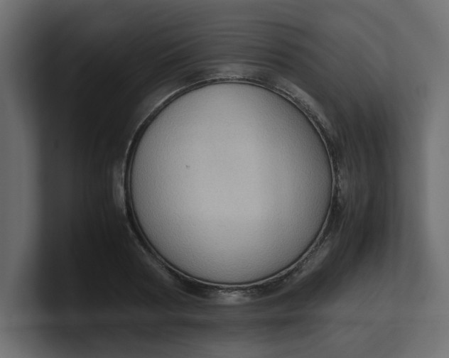 X0000100480794200806271201